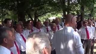 preview picture of video 'Coro Folkloristico La Quercia a San Michele al T.  Celebrazione 1a Guerra Mondiale Ricordo'