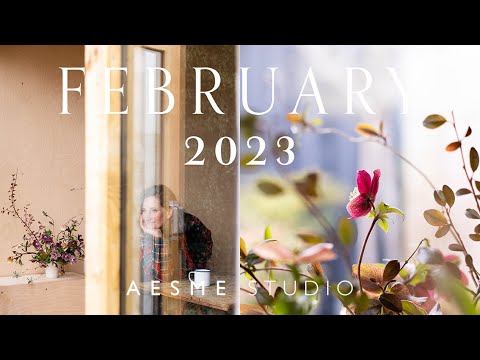 VLOG | February 2023 | Winter sunsets, the first spring flowers & February gardening jobs