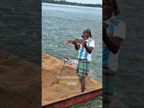 11 Ton Pakan untuk Lebih dari Sejuta Ikan⁉️ #shorts #faktaunik