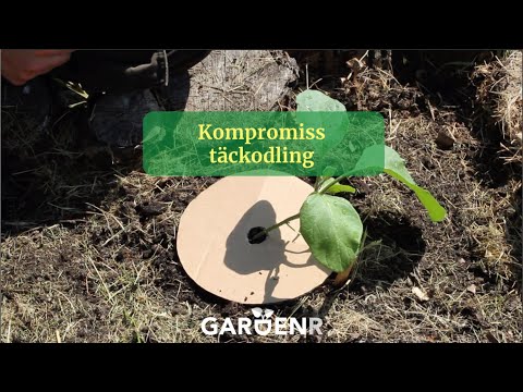Compromise cover of the crop - Gardenhacks by GardenR