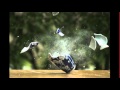 Vase Break Sounds Used In Films TV Shows And Games From Late 80 S To Current
