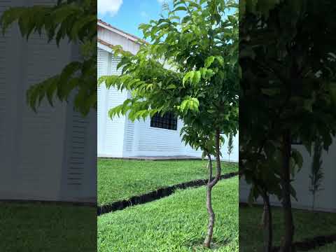 Casa de formação santo Agostinho . Salgado Filho Paraná