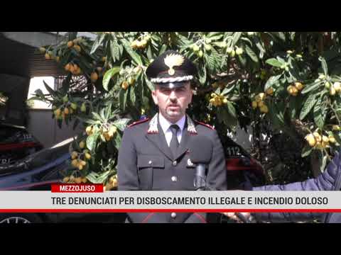 A Mezzojuso, tre denunciati per disboscamento illegale e incendio colposo