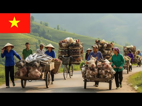 Life at a Rural Vietnamese Morning Market – A Glimpse of Tradition