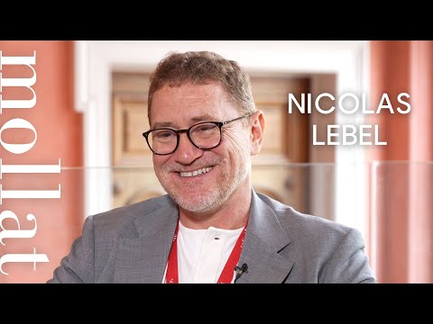 Nicolas Lebel - Peines perdues