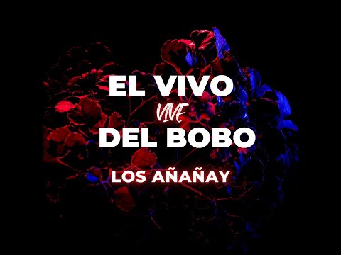 El Vivo Vive del Bobo, Los añañay la nueva generación