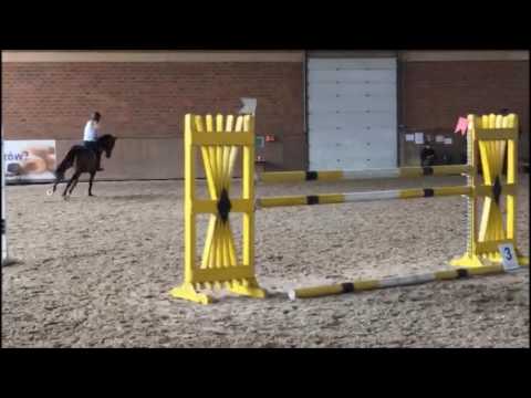 Pacino trening kwiecień 2017