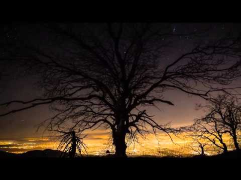 Zoo Brazil feat. Rasmus Kellerman.