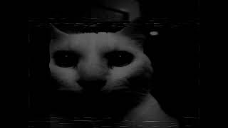 Download lagu 13 angels standing guard 'round the side of your bed mp3 Download lagu 13 angels standing guard 'round the side of your bed mp3