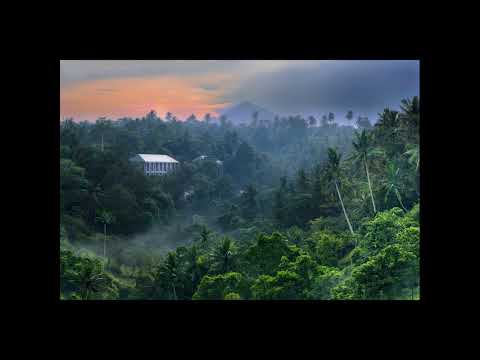 Tapio Skool - Viidakkotemppeli ft. MC Kajo