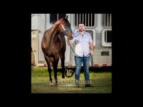 El Rufián by Chuny Gonzalez