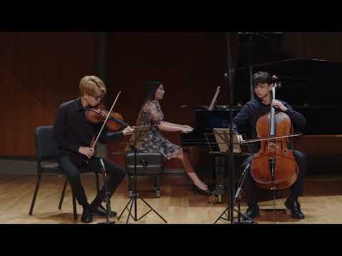 Arensky Piano Trio No. 1 in D Minor | Trio Tokava