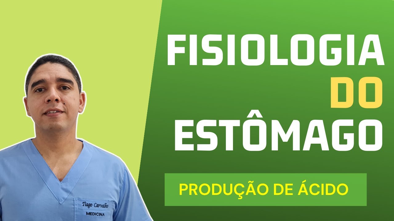 Fisiologia do Estômago [Sistema Digestivo]
