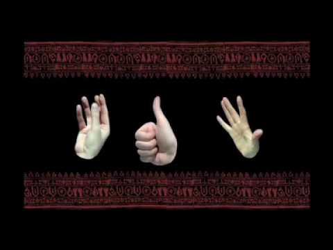 LOINS OF PUNJAB PRESENTS - Music Video Excerpts