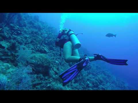 Cable Reef Dive Grand Cayman August 2016