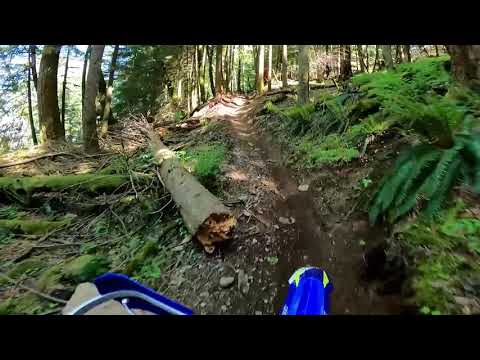 2021 Sherco 300 SEF Factory - First Ride.