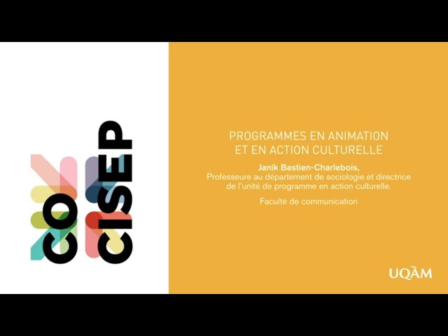 Programmes en action culturelle et en animation culturelle