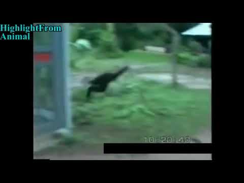 कति हास्नु ... हास्दा हास्दा पेट नै दुख्याे