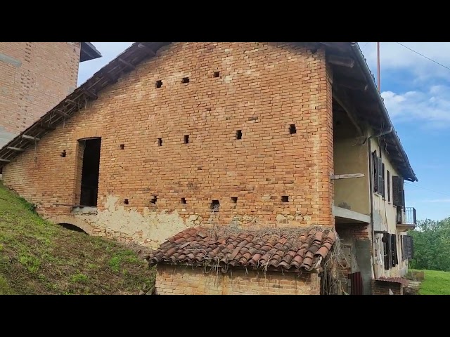 Cortazzone (AT) vendesi cascina con ampio terreno