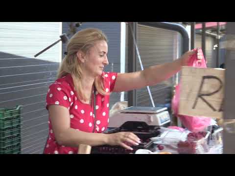 Moj ceger 01.09.2018. - Zemunska pijaca