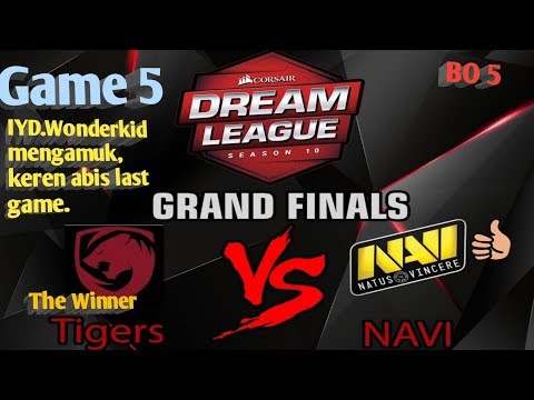 NAVI vs TIGERS Game 5 , Grand Final DreamLeague BO5. [Dota 2]