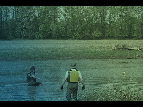 Champlain Bridge Deconstruction | Saint-Ignace-de-Loyola Compensation Project #JCCBI