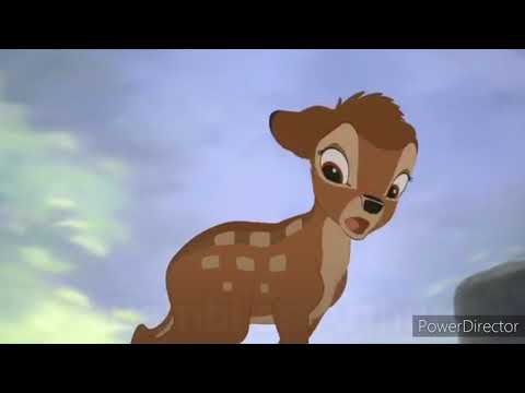 The AristoCartoons Part 21 (A Request for Cassie Angelina the Girl 004)