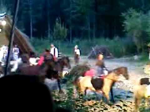 halsbach. das schwarze jahr