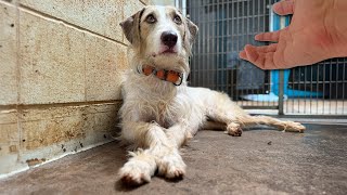 The Family Said ‘We’re Moving’ 🤔