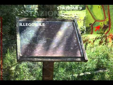 Cavaion Veronese Turista per finta