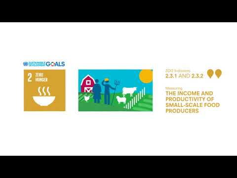 SDG 2 – Indicators of productivity and income of small-scale food producers