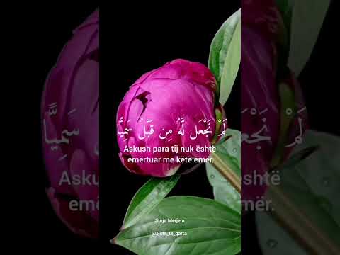🤍Historia e mrekullueshme e Zekerijas alejhi selam🌷 Surja Merjem, ajetet 1-15