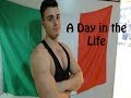 NVFitness - A Day in the Life