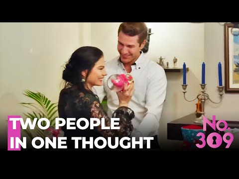 Happiness And Joy On This Special Day - No.309 Special  Scenes