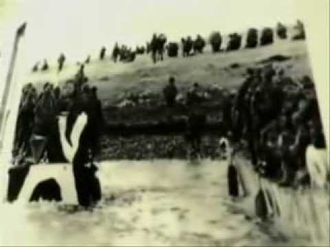 The Battle of The Falklands