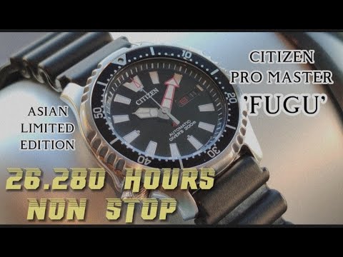 CITIZEN PRO MASTER ASIAN LIMITED EDITION FUGU scuba diving watch