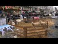 Boeren demonstreren op Dam