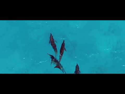 Adventures of Maldives 2017 - 8th Place: Mr. Ibrahim Shizan