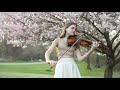 Love Story - Taylor Swift - Violin Cover by Sofia V