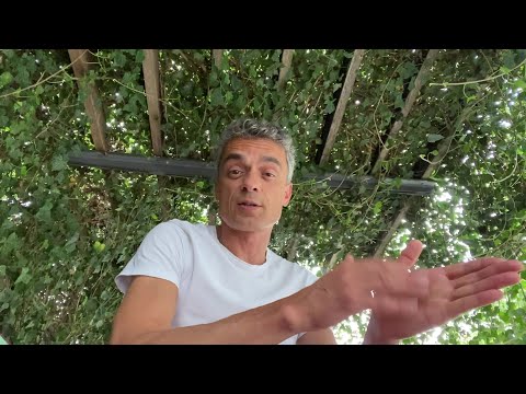 ci Italienisch Bedeutung und Verwendung Teil 1 - Italienisch Fortgeschrittene Tagesblog