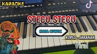 Download lagu STECU STECU - KARAOKE VERSI KOPLO JARANAN - NADA CEWEK mp3