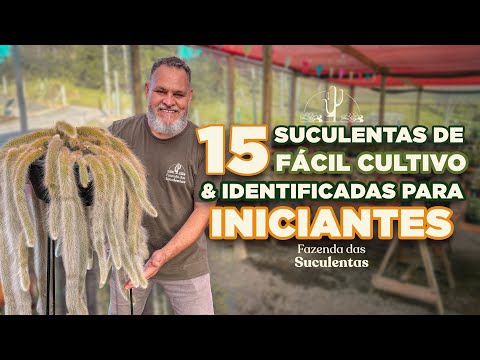 15 suculentas de FÁCIL CULTIVO para INICIANTES!