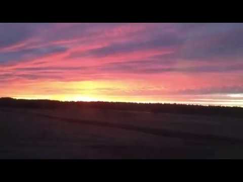 Citizen Yellow Love cover by Julijona and Tautminas