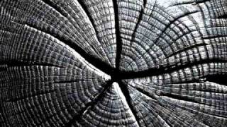 Kispál és a Borz - Kicsi csillag + dalszöveg