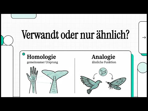 Analogie und Homologie | EINFACH ERKLÄRT