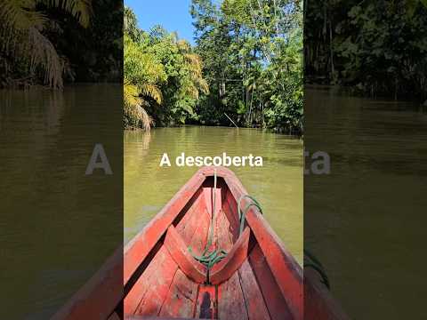 Limoeiro do Ajurú #amazon #selva #turismo #amazonia #pescaria