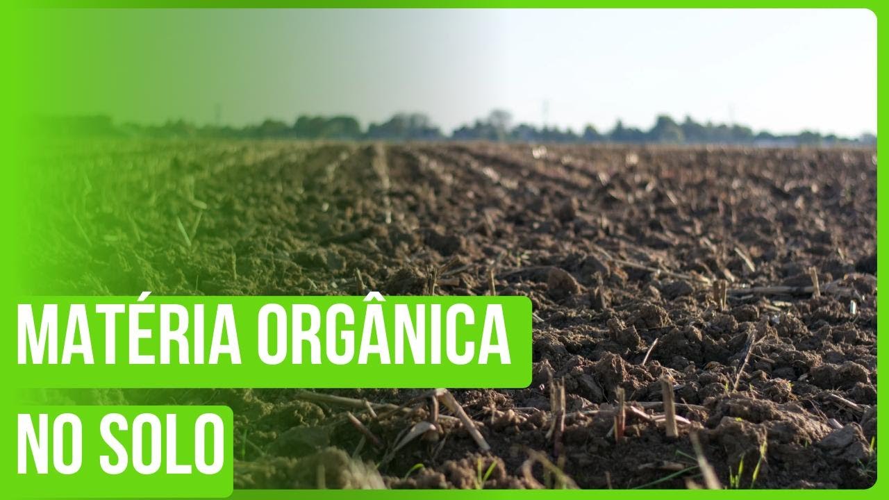 Matéria Orgânica no Solo
