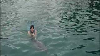 preview picture of video 'Dolphing Base - Nadando com Golfinhos'