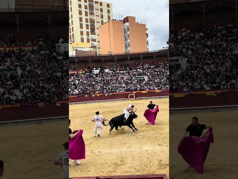 Miguel Ángel Perera, segundo toro, Sanlúcar de Barrameda 31-05-2025