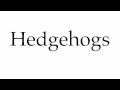 How to Pronounce Hedgehogs